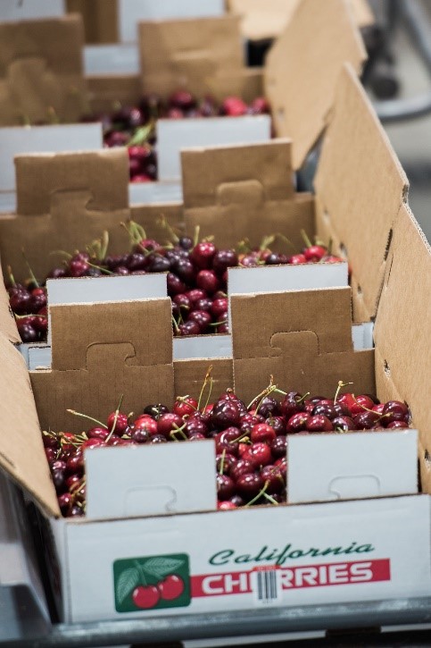 Picture of cherries in boxes